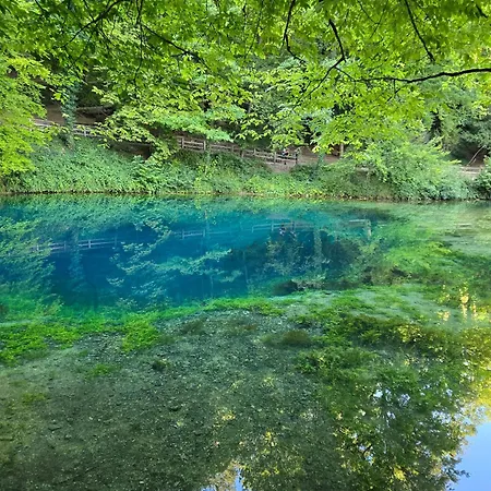 Apartment Holiday&stay Big Blue Beamer 10 Personen Blaubeuren